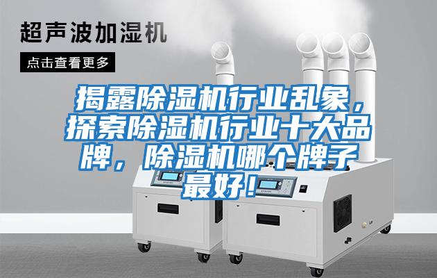 揭露除濕機(jī)行業(yè)亂象，探索除濕機(jī)行業(yè)十大品牌，除濕機(jī)哪個牌子最好！