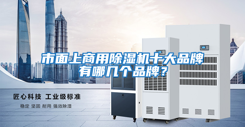 市面上商用除濕機十大品牌有哪幾個品牌？