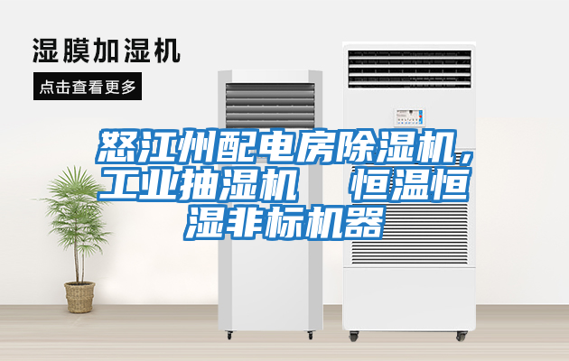 怒江州配電房除濕機，工業抽濕機  恒溫恒濕非標機器