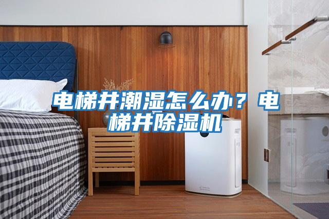 電梯井潮濕怎么辦？電梯井除濕機