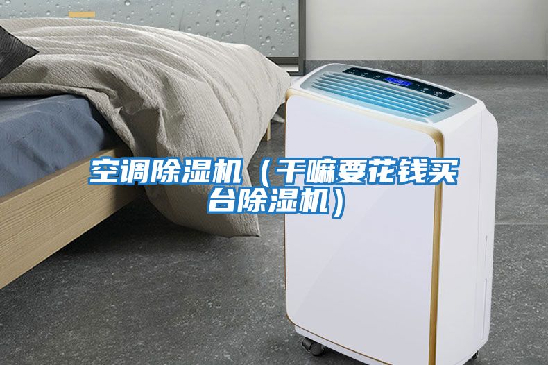 空調(diào)除濕機（干嘛要花錢買臺除濕機）