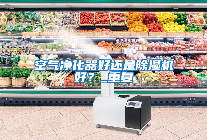 空氣凈化器好還是除濕機好？_重復