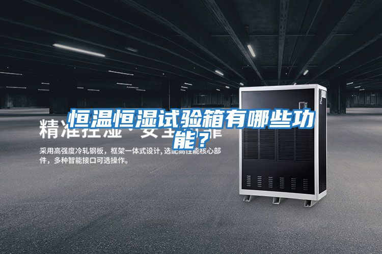 恒溫恒濕試驗(yàn)箱有哪些功能？