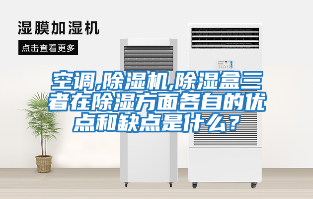 空調(diào),除濕機(jī),除濕盒三者在除濕方面各自的優(yōu)點(diǎn)和缺點(diǎn)是什么？