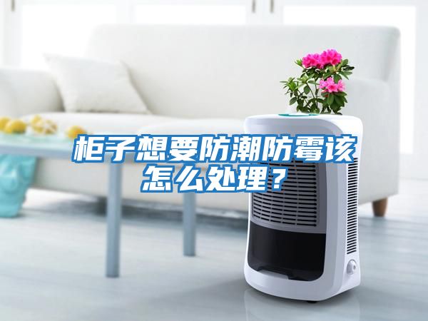 柜子想要防潮防霉該怎么處理？