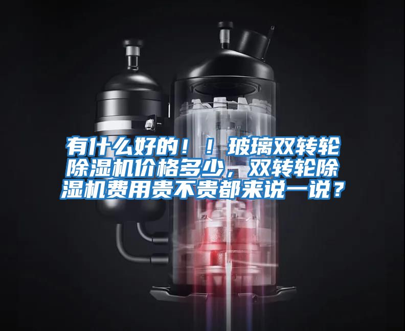 有什么好的！！玻璃雙轉(zhuǎn)輪除濕機(jī)價(jià)格多少，雙轉(zhuǎn)輪除濕機(jī)費(fèi)用貴不貴都來說一說？