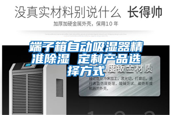 端子箱自動吸濕器精準除濕 定制產品選擇方式