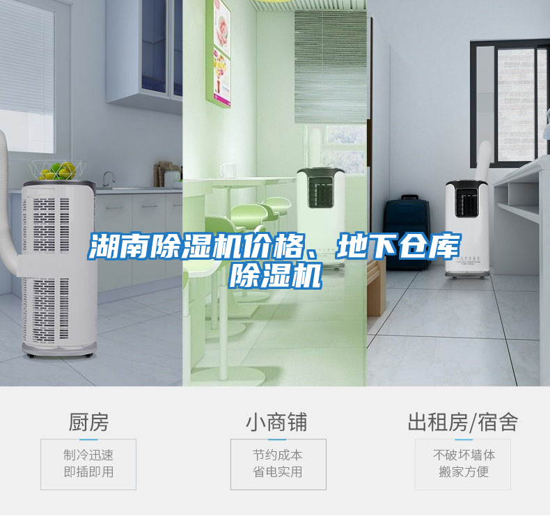湖南除濕機(jī)價格、地下倉庫除濕機(jī)