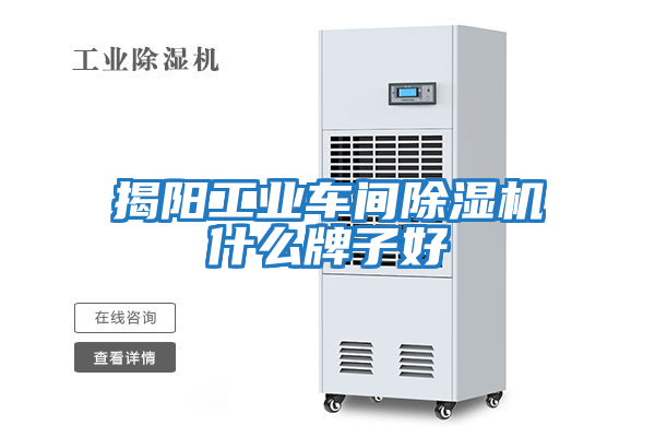 揭陽(yáng)工業(yè)車間除濕機(jī)什么牌子好
