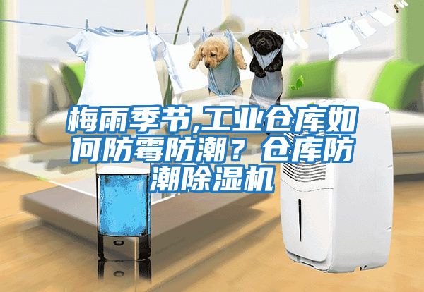 梅雨季節(jié),工業(yè)倉庫如何防霉防潮？倉庫防潮除濕機