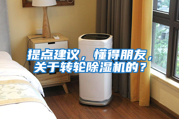 提點(diǎn)建議，懂得朋友，關(guān)于轉(zhuǎn)輪除濕機(jī)的？