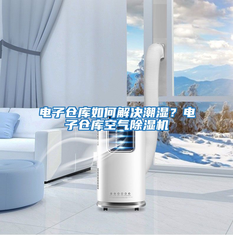 電子倉庫如何解決潮濕？電子倉庫空氣除濕機