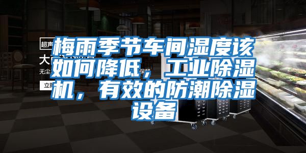 梅雨季節車間濕度該如何降低，工業除濕機，有效的防潮除濕設備