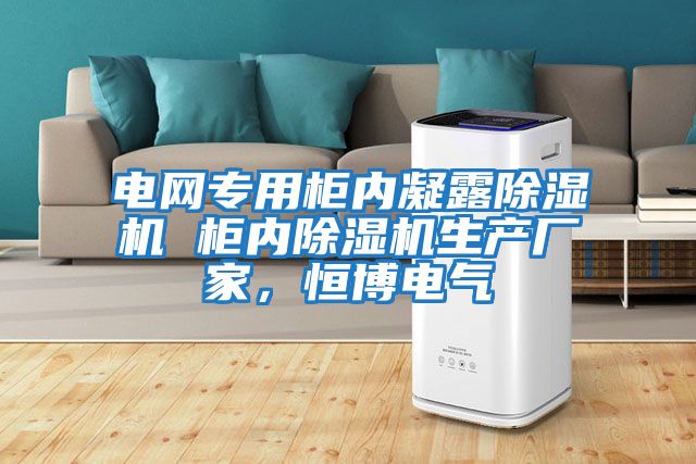 電網(wǎng)專用柜內(nèi)凝露除濕機 柜內(nèi)除濕機生產(chǎn)廠家，恒博電氣