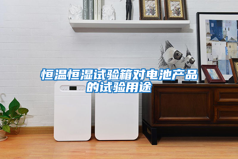 恒溫恒濕試驗箱對電池產品的試驗用途