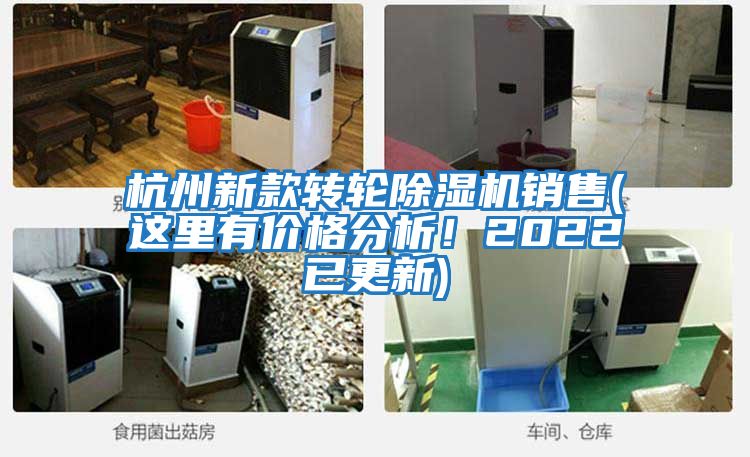 杭州新款轉(zhuǎn)輪除濕機銷售(這里有價格分析！2022已更新)