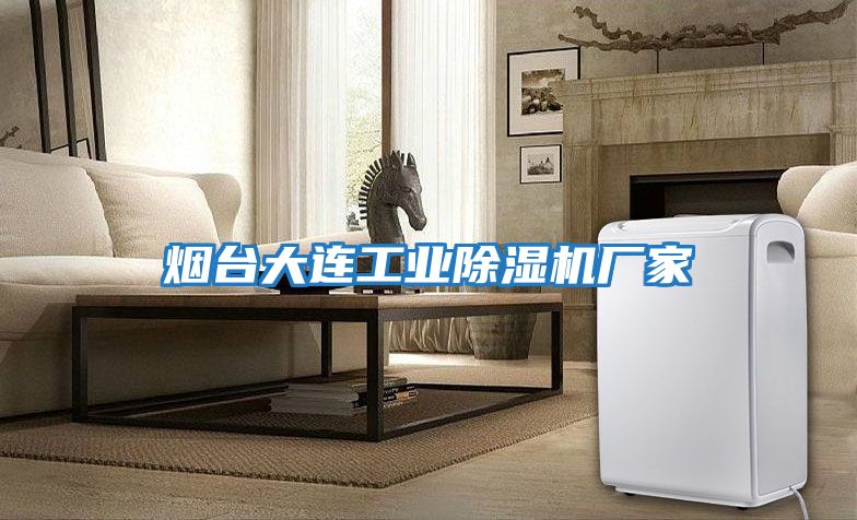 煙臺大連工業除濕機廠家