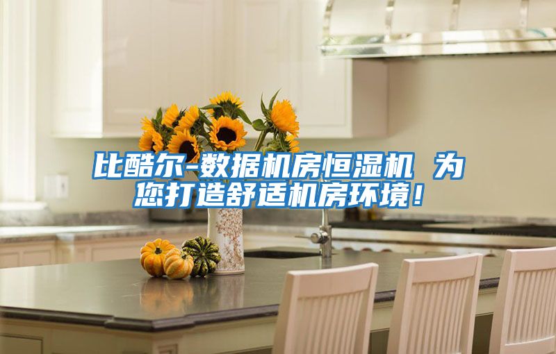 比酷爾-數(shù)據(jù)機(jī)房恒濕機(jī) 為您打造舒適機(jī)房環(huán)境！