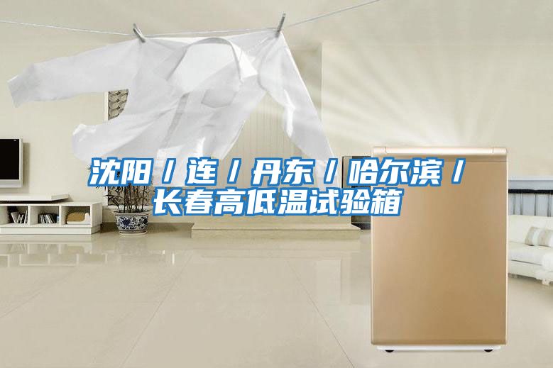 沈陽／連／丹東／哈爾濱／長(zhǎng)春高低溫試驗(yàn)箱
