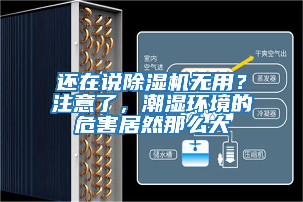 還在說除濕機無用？注意了，潮濕環境的危害居然那么大