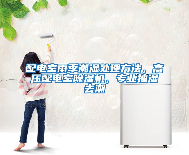 配電室雨季潮濕處理方法，高壓配電室除濕機，專業(yè)抽濕去潮