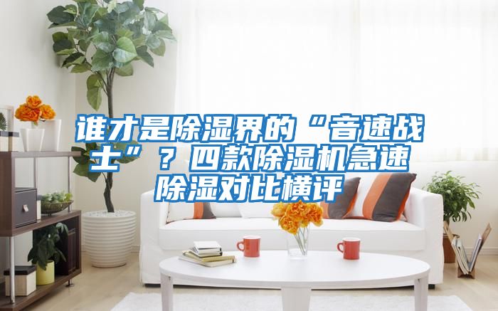 誰才是除濕界的“音速戰(zhàn)士”？四款除濕機急速除濕對比橫評