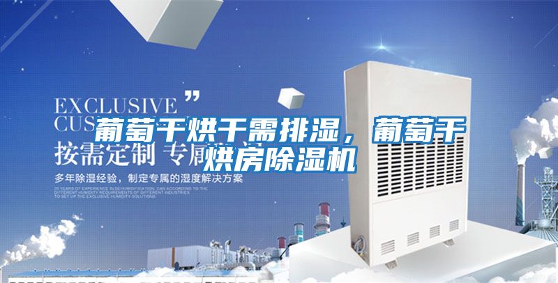 葡萄干烘干需排濕，葡萄干烘房除濕機(jī)