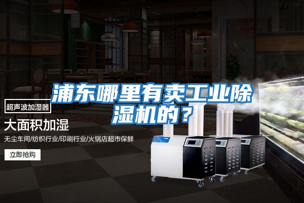 浦東哪里有賣工業除濕機的？