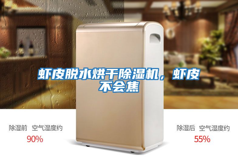 蝦皮脫水烘干除濕機，蝦皮不會焦