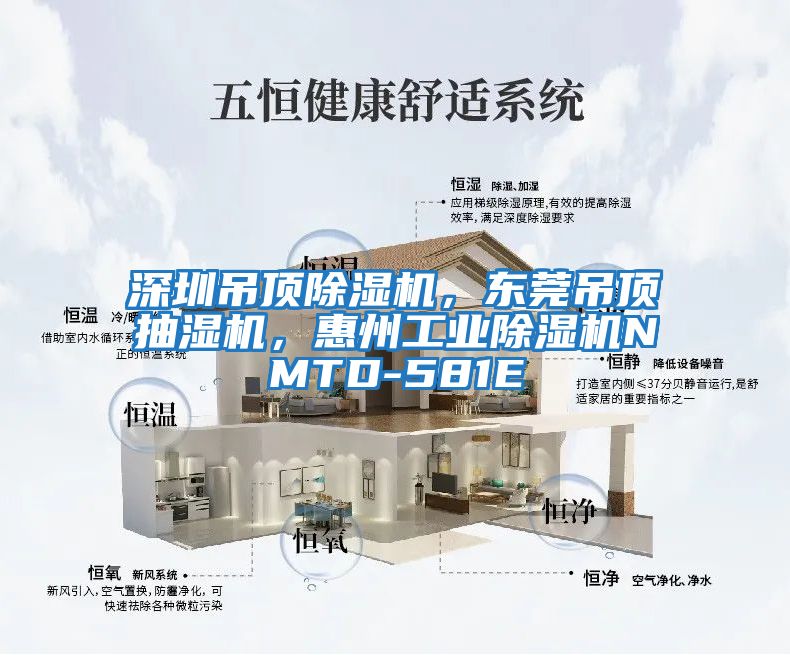 深圳吊頂除濕機，東莞吊頂抽濕機，惠州工業(yè)除濕機NMTD-581E