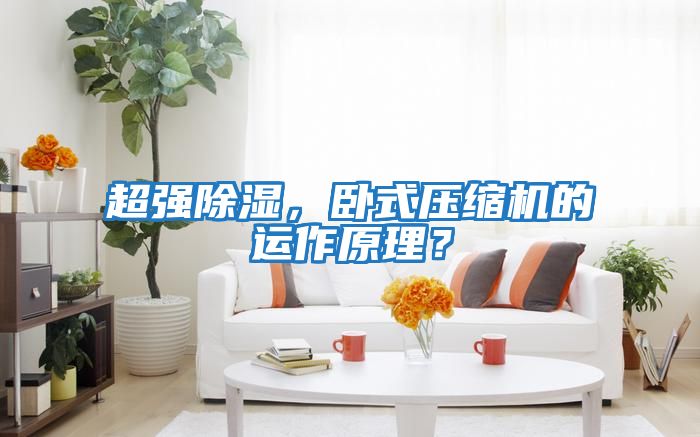 超強(qiáng)除濕，臥式壓縮機(jī)的運(yùn)作原理？