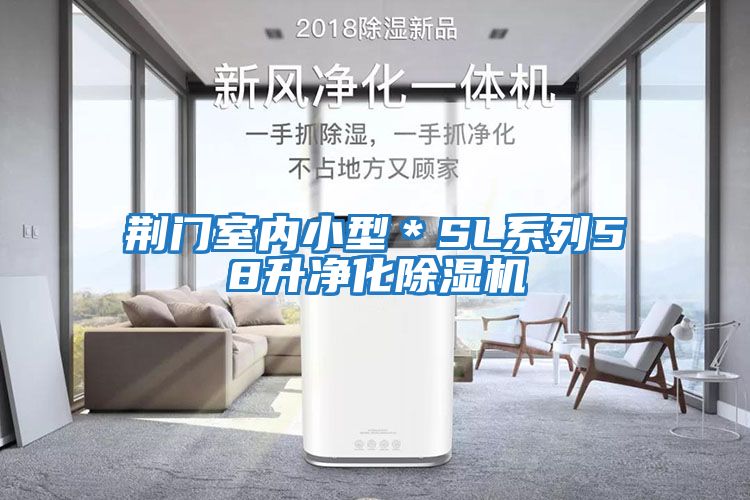 荊門室內(nèi)小型＊SL系列58升凈化除濕機