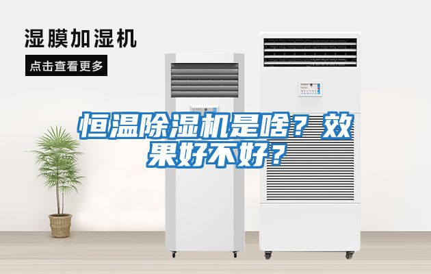 恒溫除濕機(jī)是啥？效果好不好？