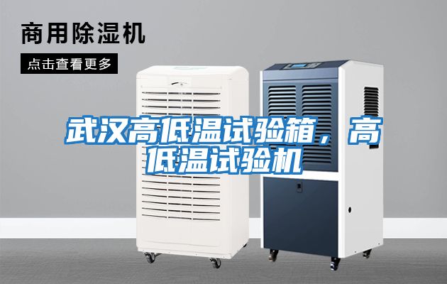 武漢高低溫試驗箱，高低溫試驗機(jī)