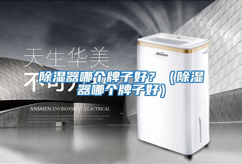 除濕器哪個牌子好？（除濕器哪個牌子好）