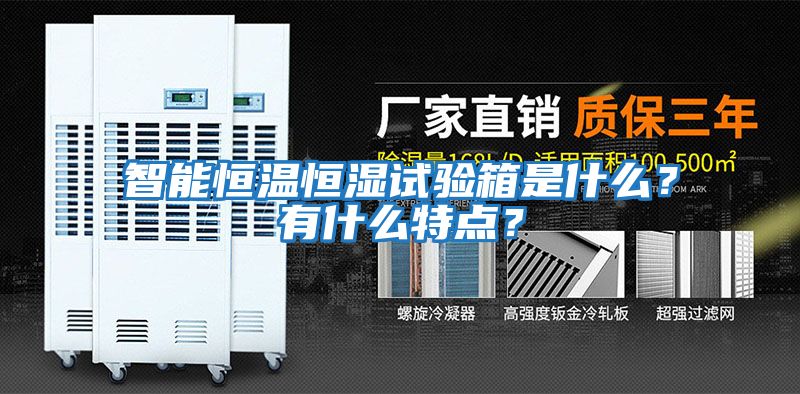 智能恒溫恒濕試驗箱是什么？有什么特點？