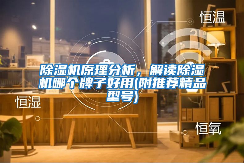 除濕機(jī)原理分析，解讀除濕機(jī)哪個牌子好用(附推薦精品型號)