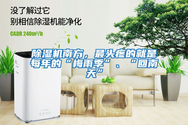 除濕機南方，最頭疼的就是每年的“梅雨季”、“回南天”