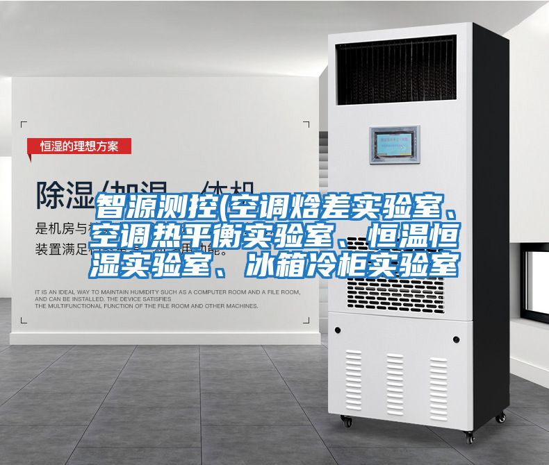 智源測(cè)控(空調(diào)焓差實(shí)驗(yàn)室、空調(diào)熱平衡實(shí)驗(yàn)室、恒溫恒濕實(shí)驗(yàn)室、冰箱冷柜實(shí)驗(yàn)室