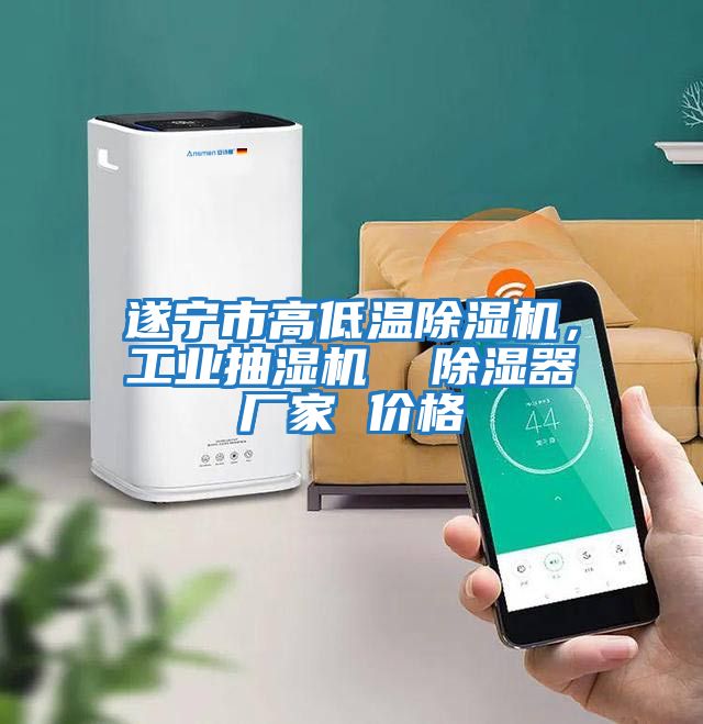 遂寧市高低溫除濕機，工業(yè)抽濕機  除濕器廠家 價格