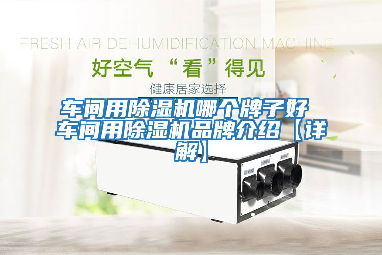 車間用除濕機(jī)哪個牌子好 車間用除濕機(jī)品牌介紹【詳解】