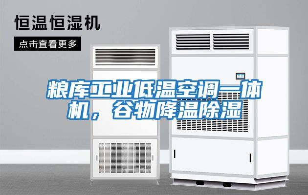 糧庫工業(yè)低溫空調(diào)一體機，谷物降溫除濕