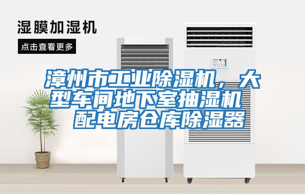 漳州市工業除濕機，大型車間地下室抽濕機  配電房倉庫除濕器