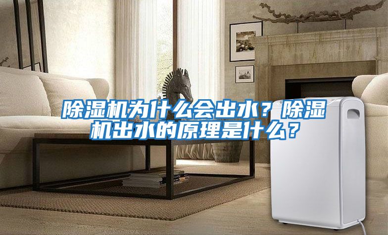 除濕機為什么會出水？除濕機出水的原理是什么？