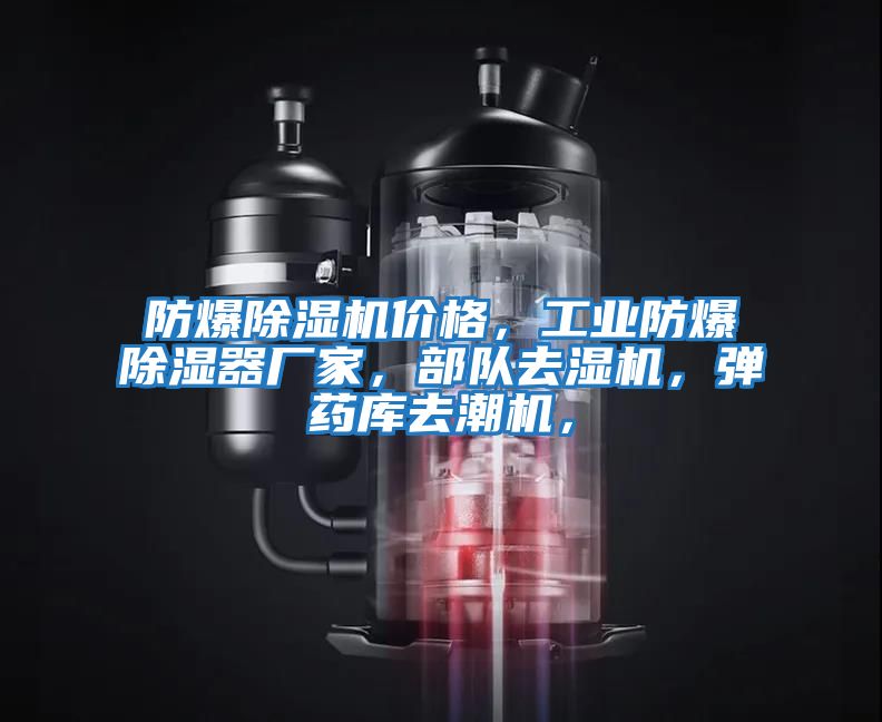 防爆除濕機(jī)價(jià)格，工業(yè)防爆除濕器廠家，部隊(duì)去濕機(jī)，彈藥庫(kù)去潮機(jī)，