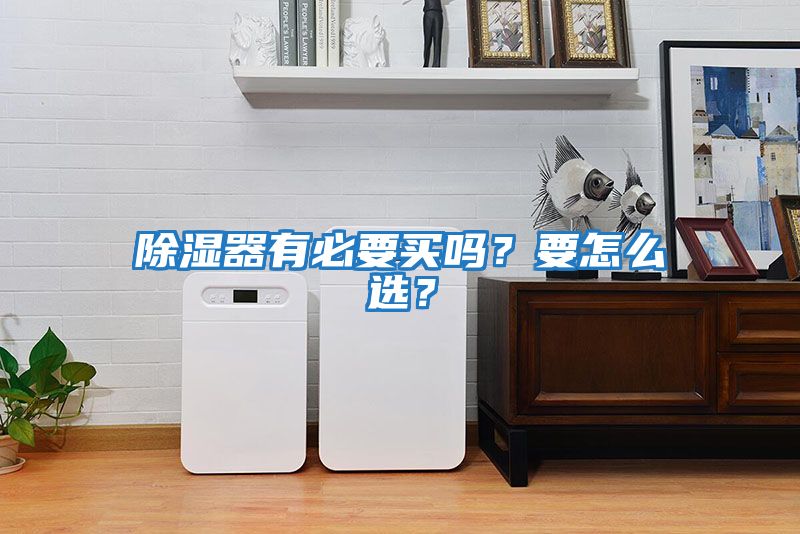 除濕器有必要買嗎？要怎么選？