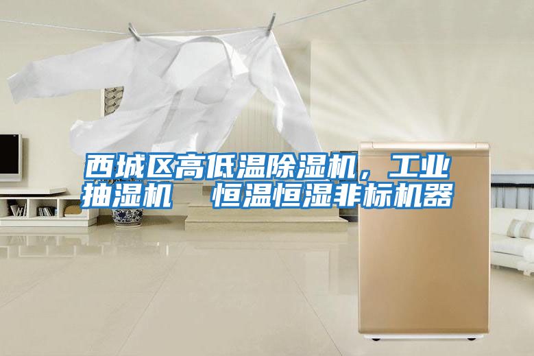 西城區(qū)高低溫除濕機，工業(yè)抽濕機  恒溫恒濕非標機器