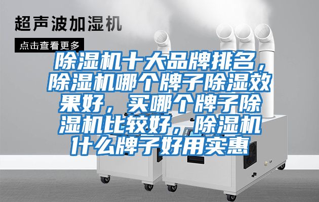 除濕機十大品牌排名，除濕機哪個牌子除濕效果好，買哪個牌子除濕機比較好，除濕機什么牌子好用實惠