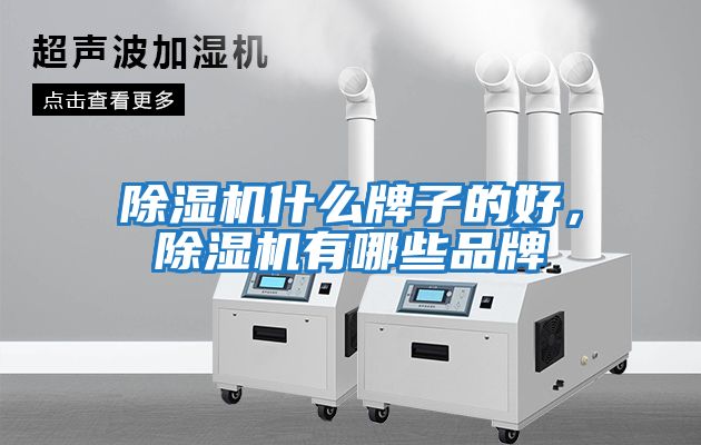除濕機(jī)什么牌子的好，除濕機(jī)有哪些品牌