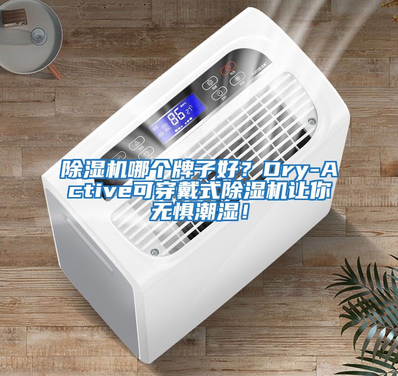 除濕機(jī)哪個牌子好？Dry-Active可穿戴式除濕機(jī)讓你無懼潮濕！